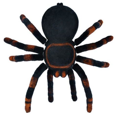 RC Dálkově ovládaný pavouk Tarantule ISO 22445 ~ 10