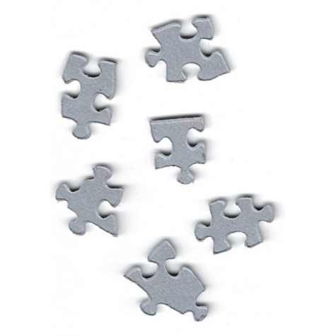 EUROGRAPHICS Puzzle Katalog semínek: Květiny 1000 dílků ~ 3