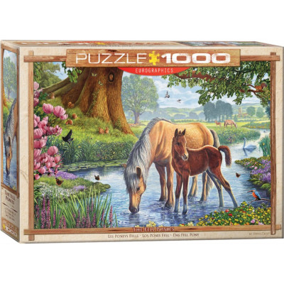 EUROGRAPHICS Puzzle Fellští poníci 1000 dílků