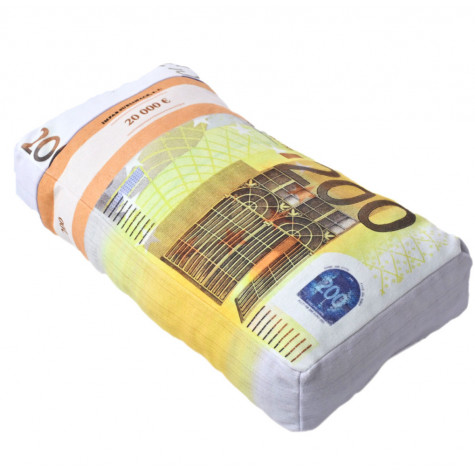 3D polštář 43 x 25 cm - Bankovky euro 200€ ~ 2