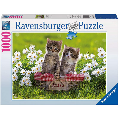 RAVENSBURGER Puzzle Piknik na louce 1000 dílků